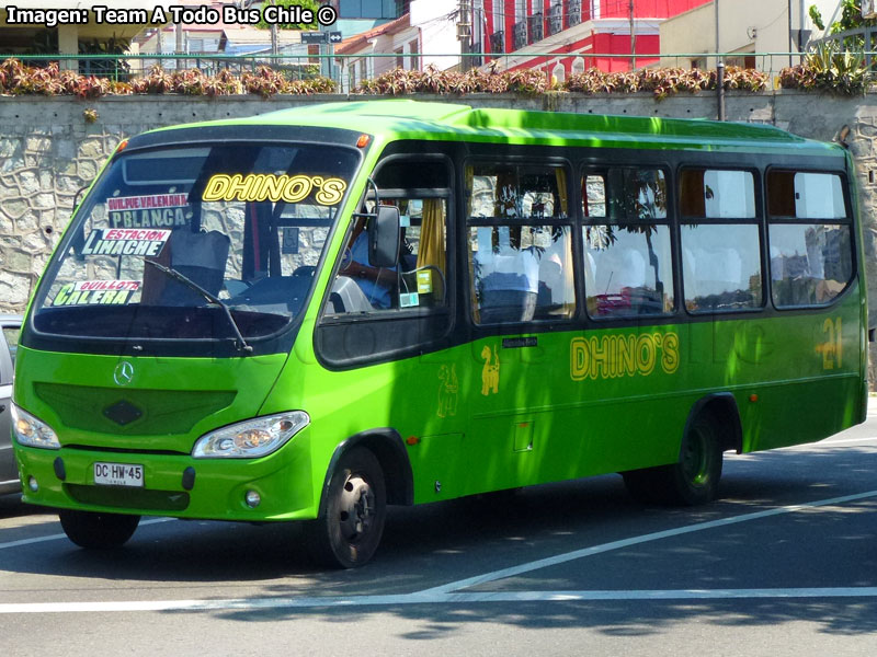 TMG Bicentenario / Mercedes Benz LO-812 / Dhino's