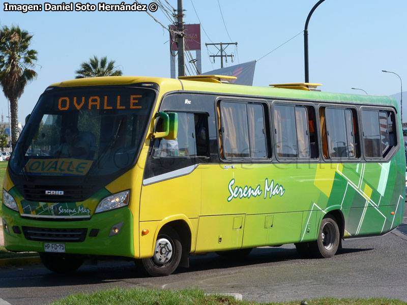 Induscar Caio Foz / Mercedes Benz LO-916 BlueTec5 / Serena Mar