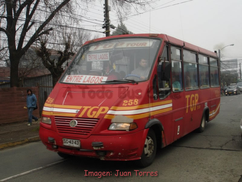 Metalpar Pucará 2000 / Mercedes Benz LO-814 / Buses Barría