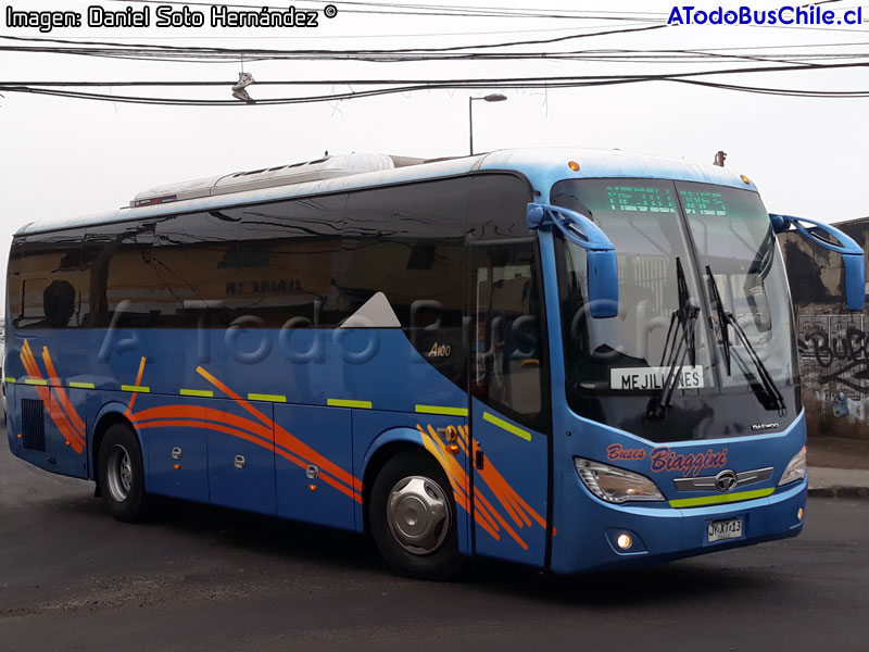 Daewoo A-100 Euro5 / Buses Biaggini