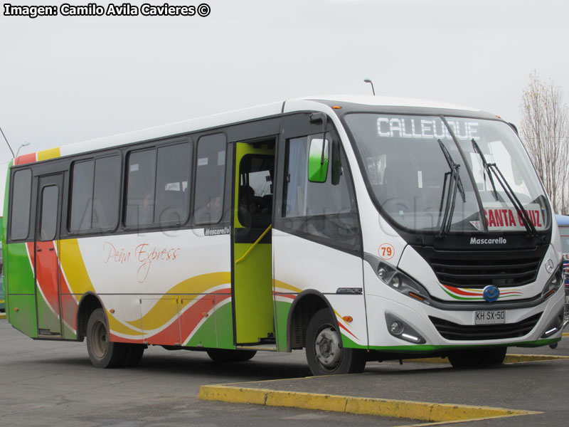 Mascarello Gran Micro / Mercedes Benz LO-916 BlueTec5 / Peña Express