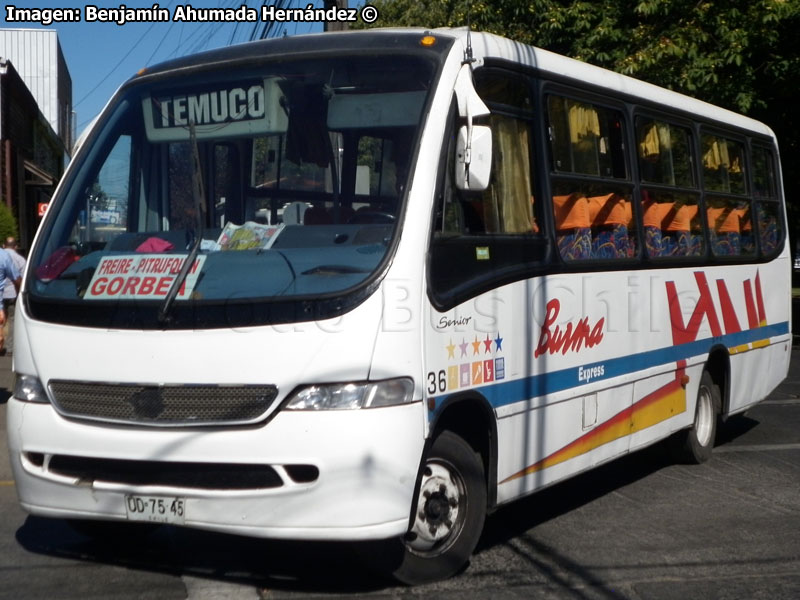 Marcopolo Senior G6 / Mercedes Benz LO-914 / Burma Express