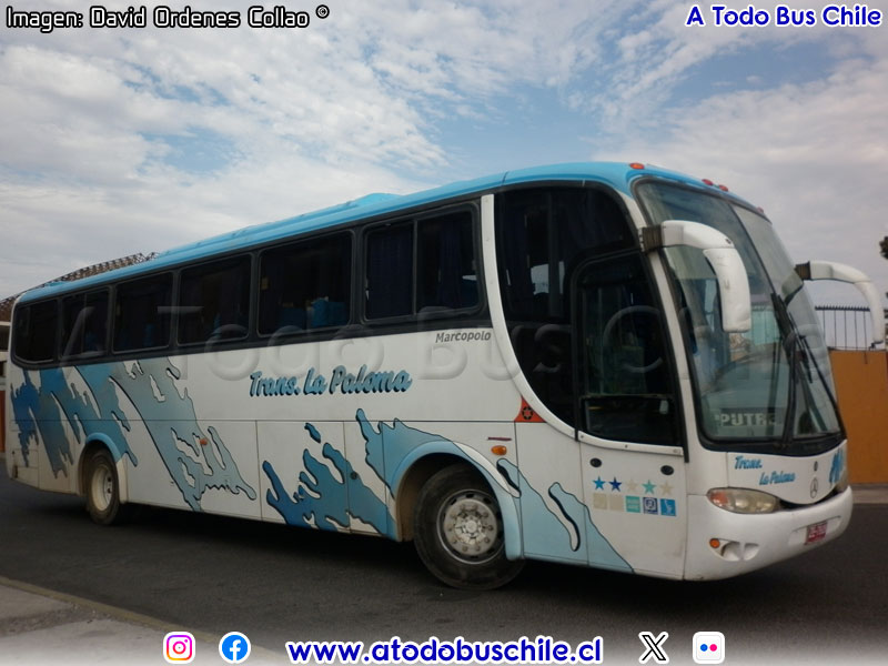 Marcopolo Viaggio G6 1050 / Mercedes Benz O-400RSE / Transportes La Paloma