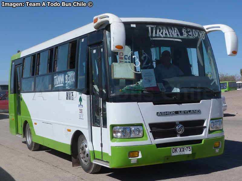 Ashok Leyland Eagle 814 / Servicio Especial Iquique - La Tirana