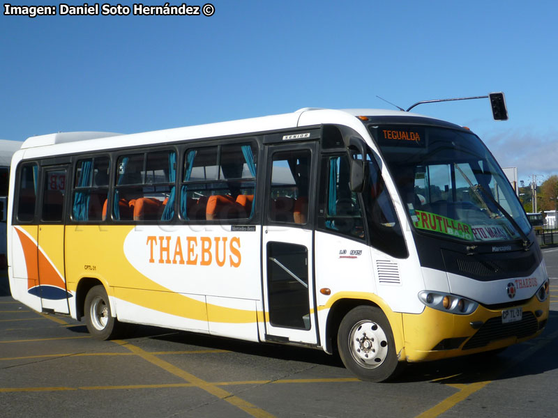 Marcopolo Senior / Mercedes Benz LO-915 / Thaebus