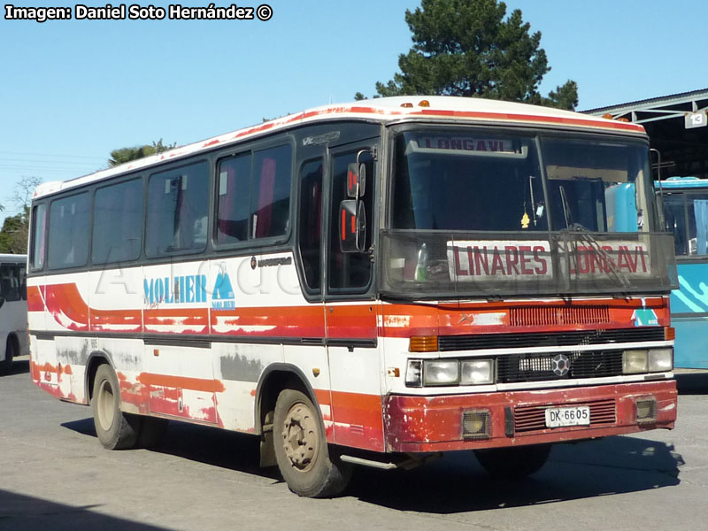 Marcopolo Viagigo GIV 800 / Mercedes Benz OF-1318 / Buses Molher