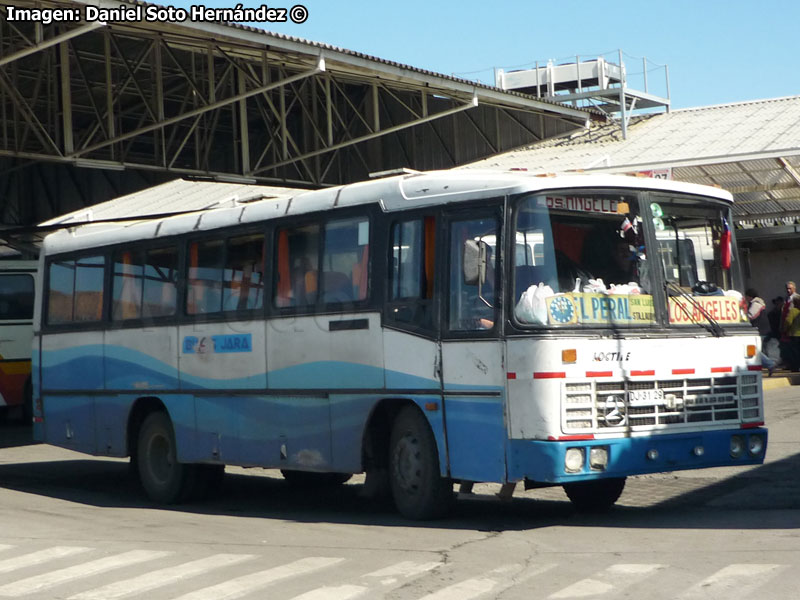 Nielson Diplomata 310 / Mercedes Benz OF-1115 / Buses Jara