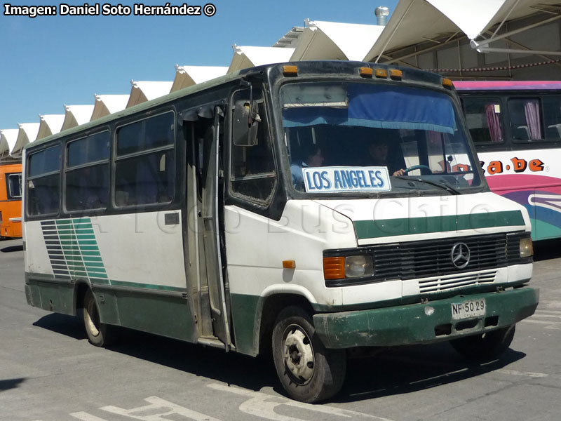 Carrocerías Rosales / Mercedes Benz LO-812 / Buses Pérez