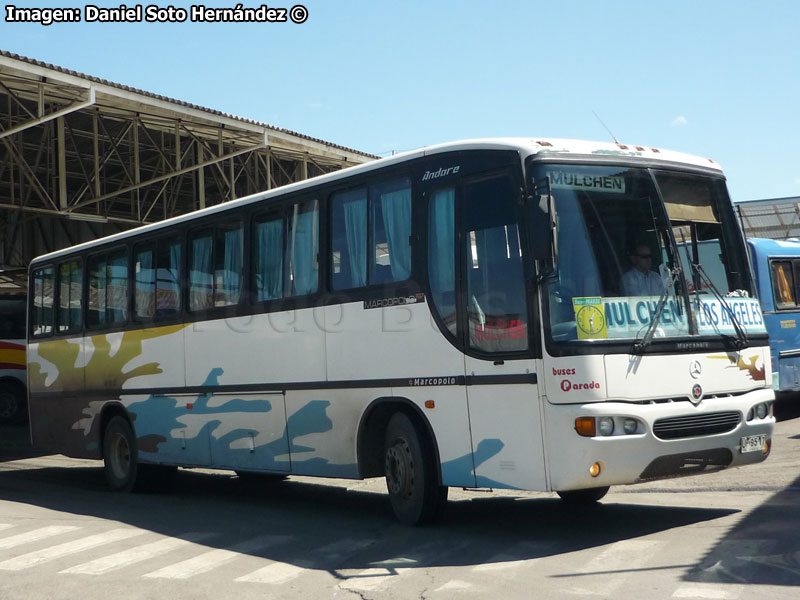 Marcopolo Andare / Mercedes Benz OF-1721 / Buses Parada