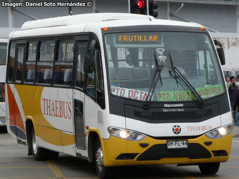 Marcopolo Senior / Mercedes Benz LO-915 / Thaebus