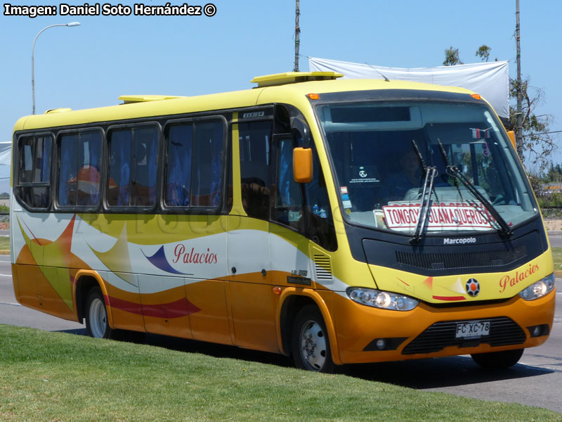 Marcopolo Senior / Mercedes Benz LO-915 / Buses Palacios