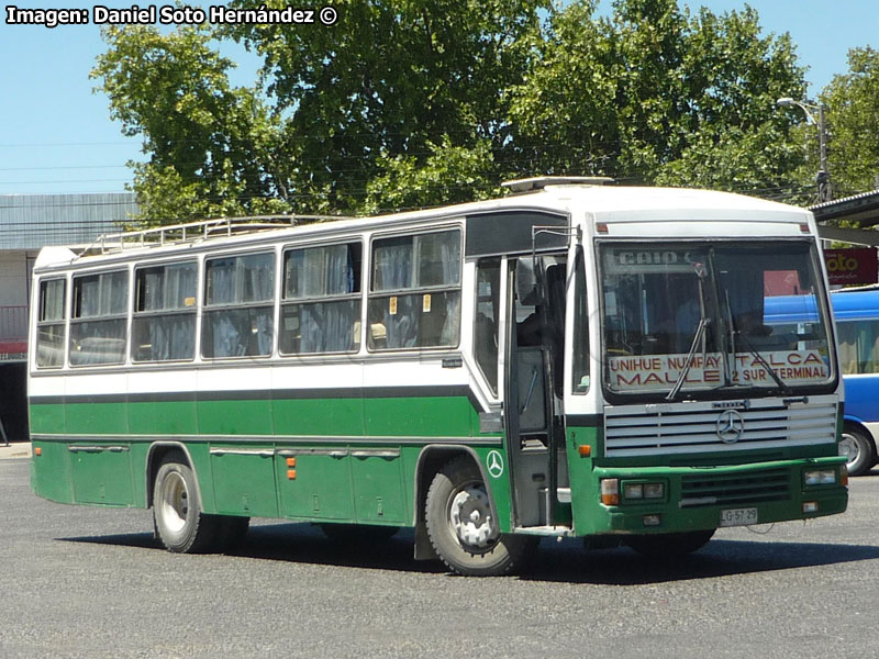 Caio Vitória / Mercedes Benz OF-1318 / Buses Olmedo