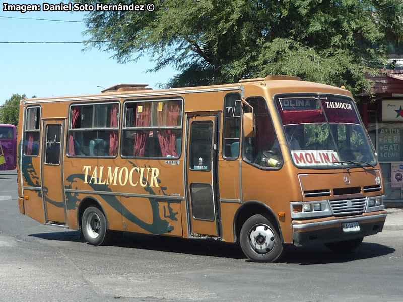 Caio Carolina V / Mercedes Benz LO-814 / Buses TALMOCUR
