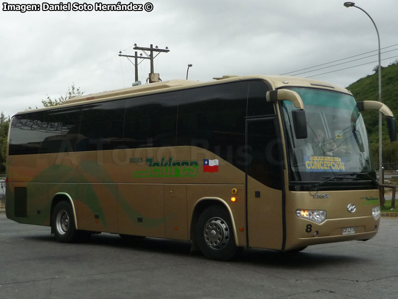 Higer Bus KLQ6109 (H100.45) / Buses Jeldres
