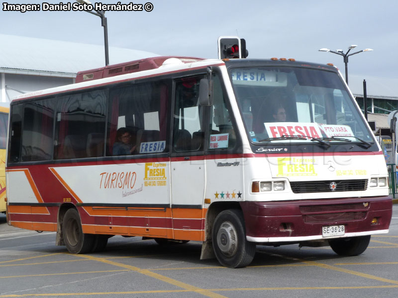 Marcopolo Senior GV / Mercedes Benz LO-814 / Expresos Fresia