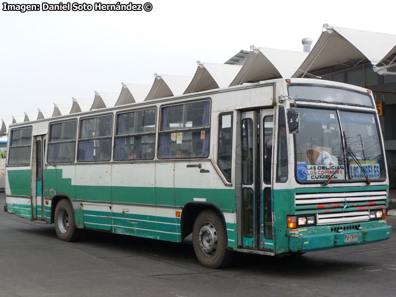 Caio Vitória / Mercedes Benz OF-1318 / Buses Poblete