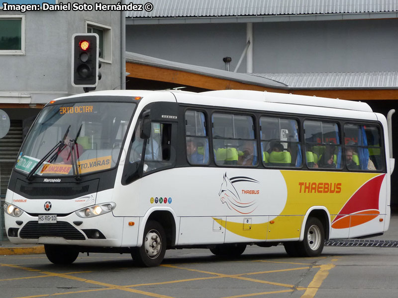 Marcopolo Senior / Mercedes Benz LO-916 BlueTec5 / Thaebus