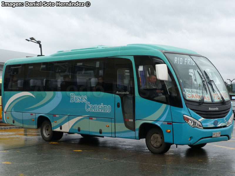 Mascarello Gran Micro / Mercedes Benz LO-916 BlueTec5 / Buses Cancino