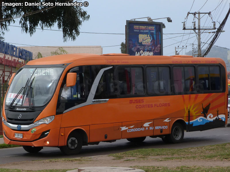 Mascarello Gran Micro S3 / Mercedes Benz LO-916 BlueTec5 / Transportes Cortés Flores