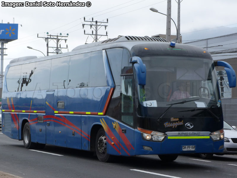 King Long XMQ6130Y / Buses Biaggini