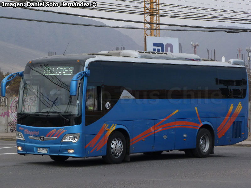 Daewoo Bus A-100 / Buses Biaggini