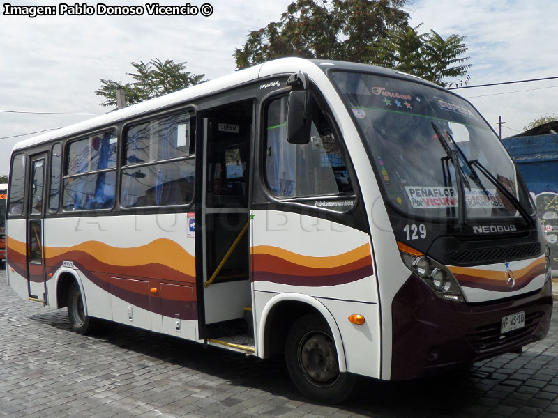 Neobus Thunder + / Mercedes Benz LO-916 BlueTec5 / Buses Peñaflor Santiago BUPESA