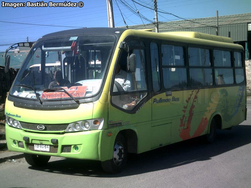 Maxibus Astor / Mercedes Benz LO-914 / Pullman Bus Lago Peñuelas