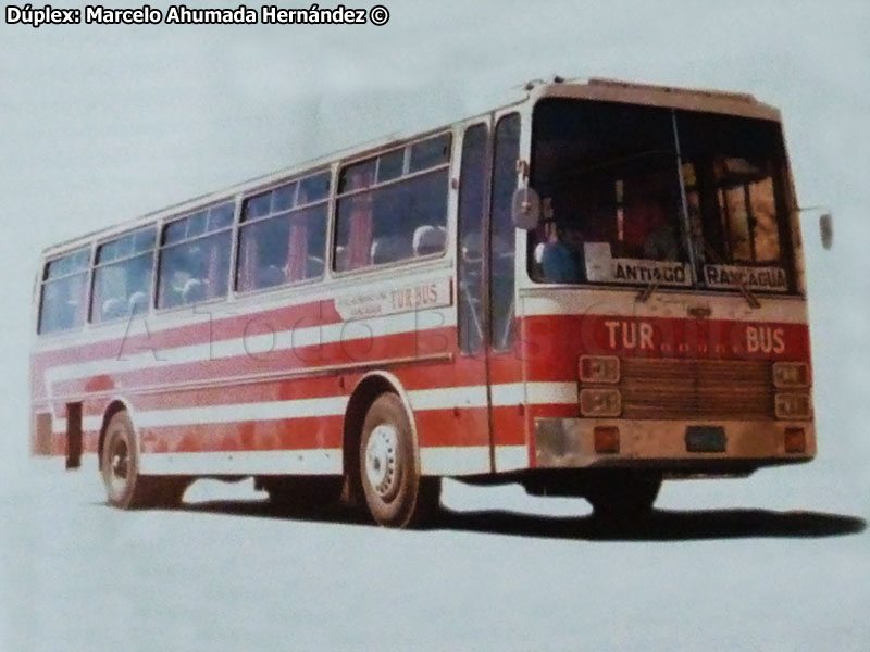 Van Hool / Dodge / Tur Bus