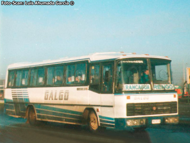 Nielson Diplomata 310 / Mercedes Benz OF-1318 / Galgo Omnibus