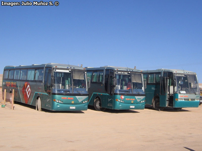 Busscar El Buss 340 / Scania K-124IB | K-113CL / Tur Bus