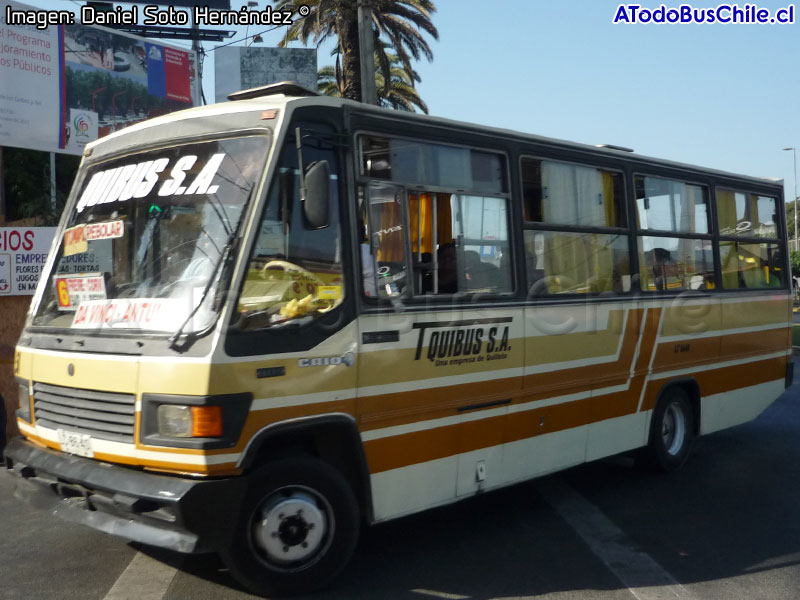 Caio Carolina IV / Mercedes Benz LO-809 / Línea N° 6 Transportes Quibus S.A. (Quillota)