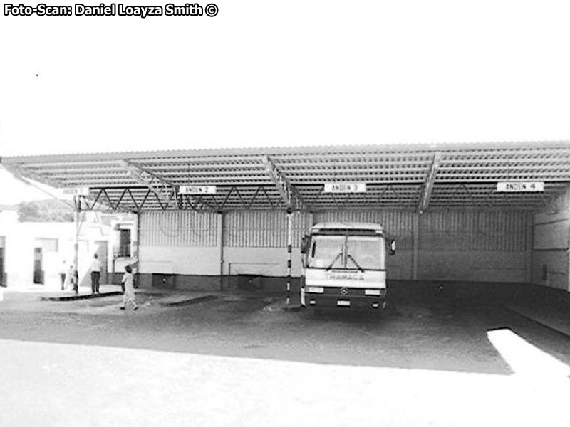 Zona de Andenes Terminal de Buses TRAMACA - Transportes Macaya & Cavour | Teniente Luis Uribe Orrego Nº 936 - Antofagasta