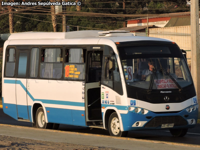 Marcopolo Senior / Mercedes Benz LO-915 / Línea N°18 Iquique