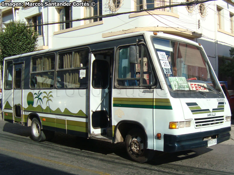 Maxibus Micro / Agrale MA-8.5T / LITAPEL Variante Nº 12 (Ovalle)