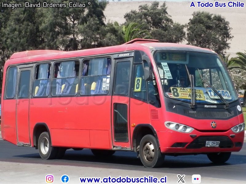 Marcopolo Senior / Mercedes Benz LO-915 / Línea N° 8 Arica