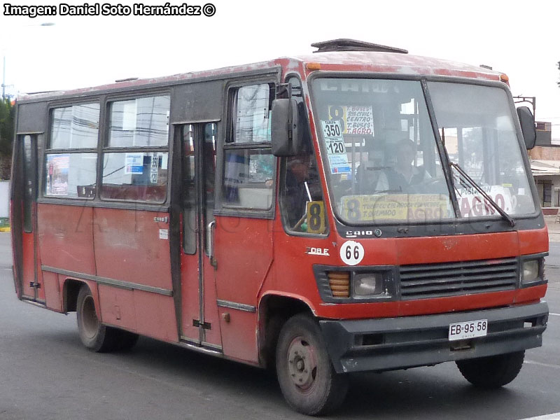 Caio Carolina IV / Mercedes Benz LO-708E / Taxibuses 7 y 8 (Recorrido N° 8) Arica