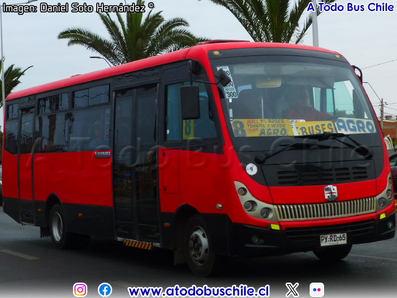 Zhong Tong Triumph LCK6850D Euro5 / Línea N° 8 Arica