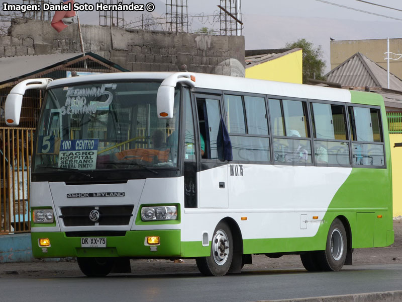 Ashok Leyland Eagle 814 / Línea Nº 100 Trans Iquique