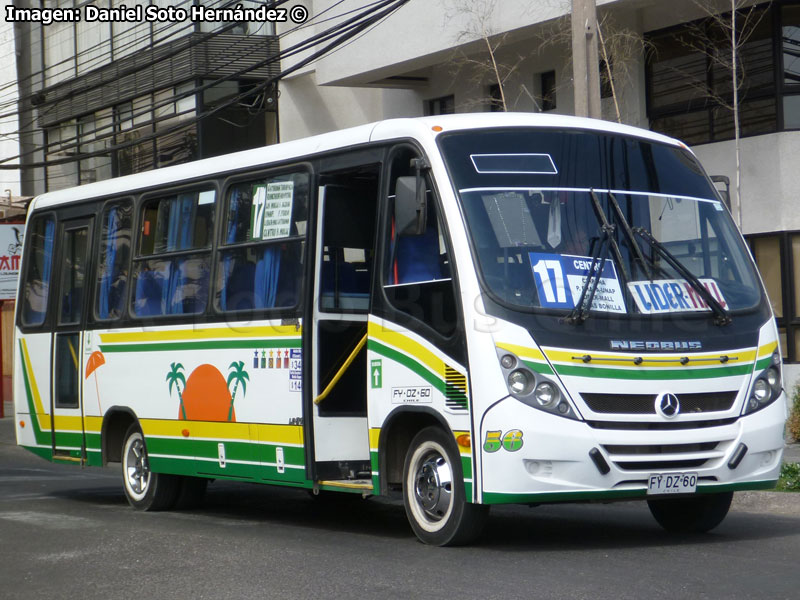 Neobus Thunder + / Mercedes Benz LO-915 / Línea N° 17 Iquique