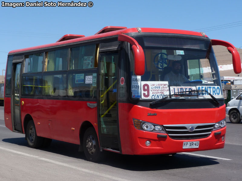 Metalpar Maule (Youyi Bus ZGT6718 Extendido) / Taxibuses 7 y 8 (Recorrido N° 9) Arica