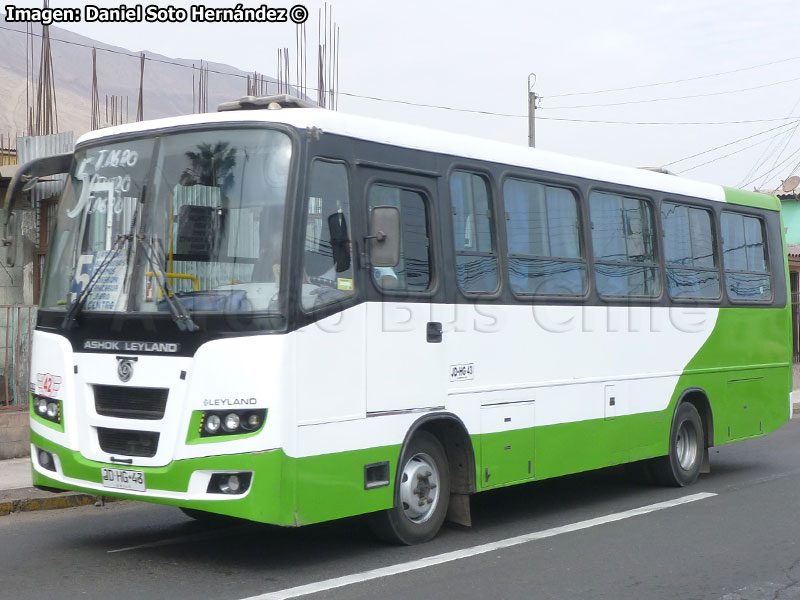 Ashok Leyland Eagle 814 / Línea N° 5 Iquique