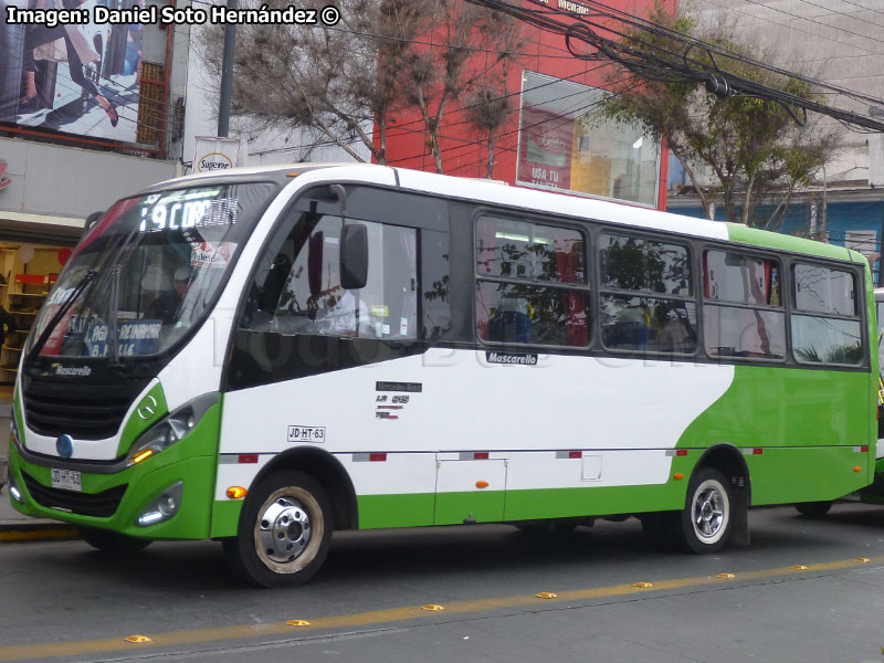 Mascarello Gran Micro / Mercedes Benz LO-915 / Línea N° 9 Iquique