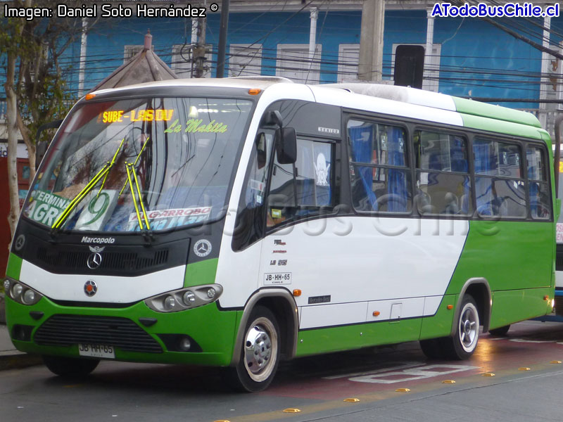 Marcopolo Senior / Mercedes Benz LO-915 / Línea N° 9 Iquique