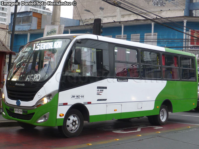 Mascarello Gran Micro / Mercedes Benz LO-915 / Línea N° 5 Iquique