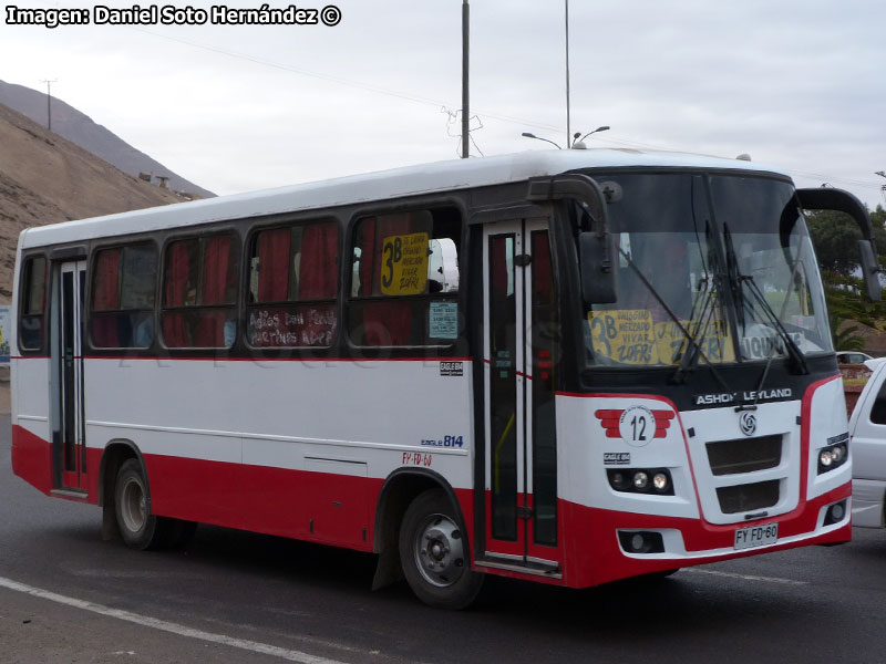 Ashok Leyland Eagle 814 / Trans Alto Hospicio S.A. (Iquique)