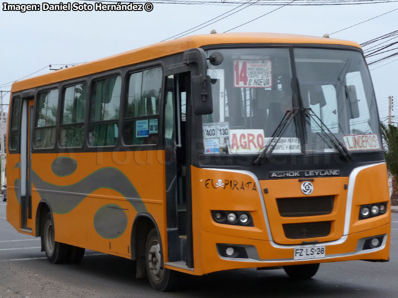 Ashok Leyland Eagle 814 / Transportes Línea 2 S.A. (Recorrido N° 14) Arica