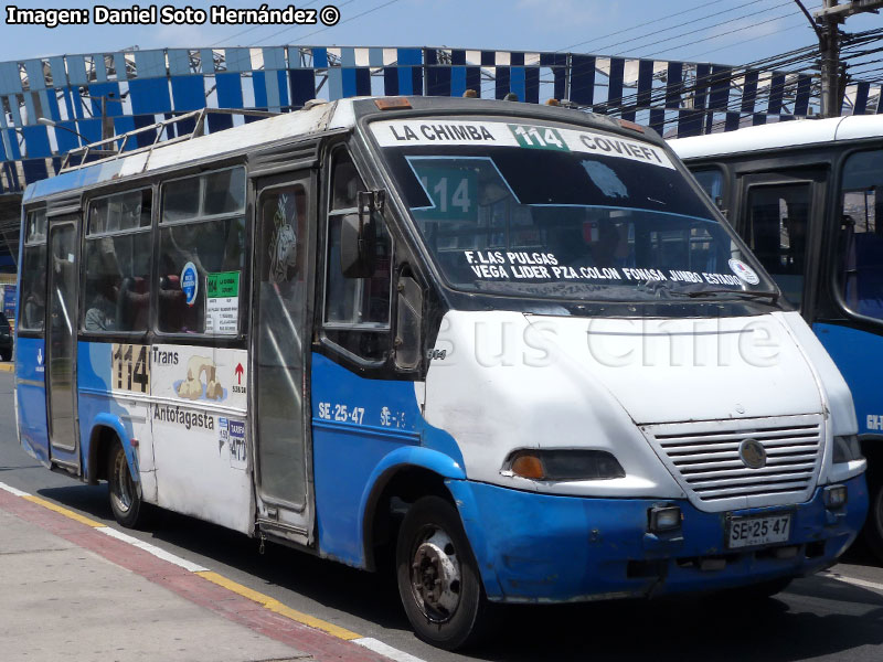 Metalpar Pucará 2000 / Mercedes Benz LO-814 / Línea N° 114 Trans Antofagasta