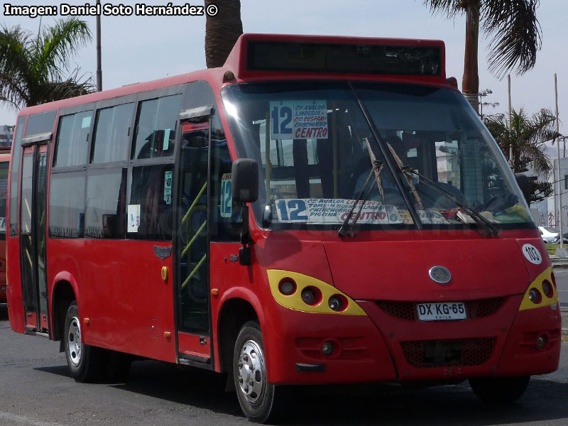 Metalpar Rayén (Youyi Bus ZGT6805DG) / Taxibuses 7 y 8 (Recorrido N° 12) Arica