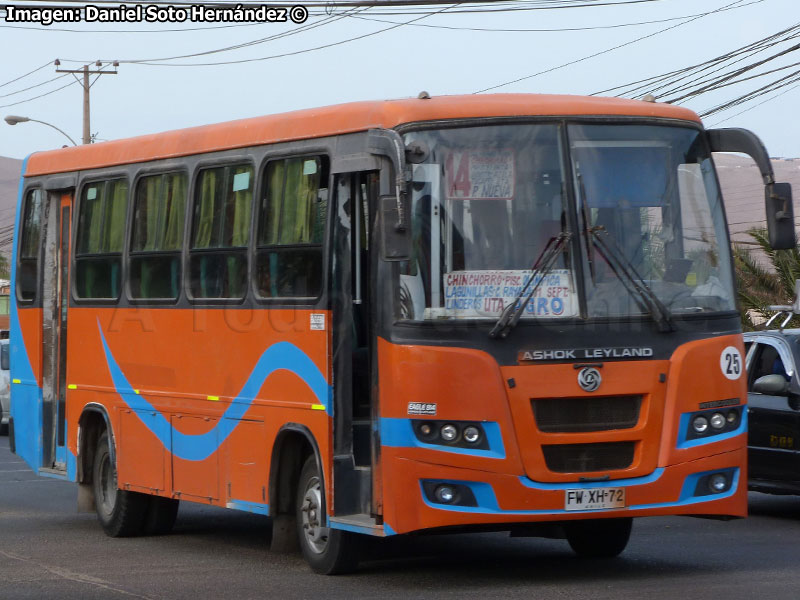 Ashok Leyland Eagle 814 / Transportes Línea 2 S.A. (Recorrido N° 14) Arica