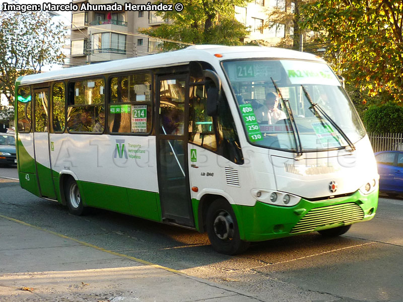 Marcopolo Senior / Mercedes Benz LO-914 / TMV 2 Viña Bus S.A.